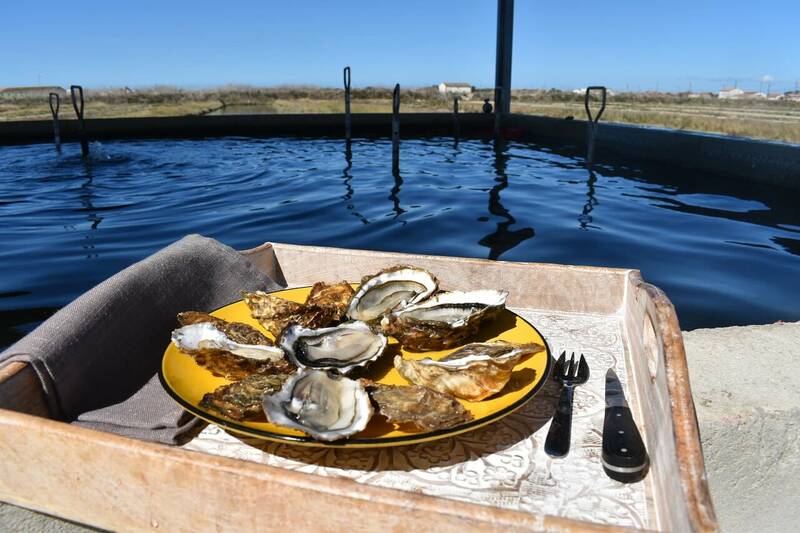 La Cabane De Batifou accepte les chiens à Dolus-d'Oléron