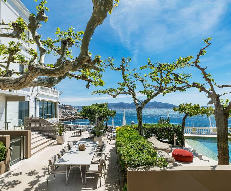 Le Bar 1917 accepte les chiens à Marseille