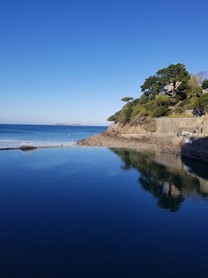 Hotel acceptant les chiens