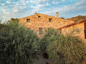 Hotel acceptant les chiens