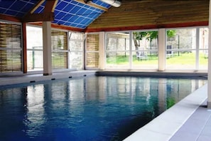 Hotel acceptant les chiens