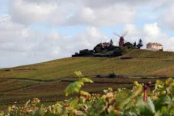 Premiere Classe Reims East - Taissy accepte les chiens à Taissy