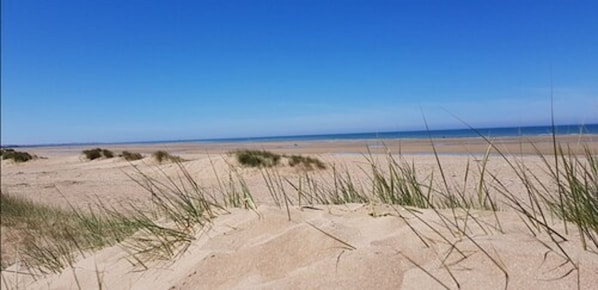 Hotel Bristol accepte les chiens à Caen