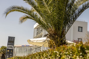 Hotel acceptant les chiens