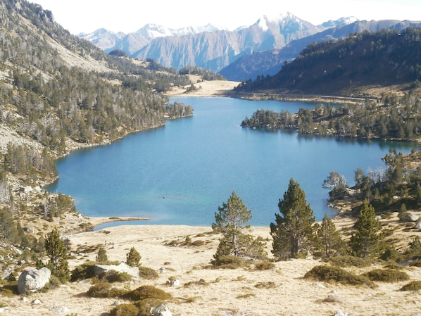 Le Barbajou accepte les chiens à Aragnouet