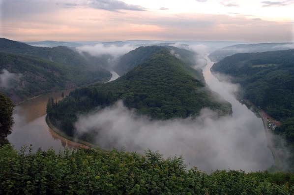 Hotel Restaurant Zum Schwan accepte les chiens à Mettlach