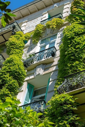 Hotel acceptant les chiens