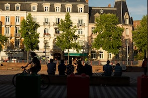 Hotel acceptant les chiens